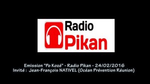 Intreview en créole radio Pikan 24/02/2016